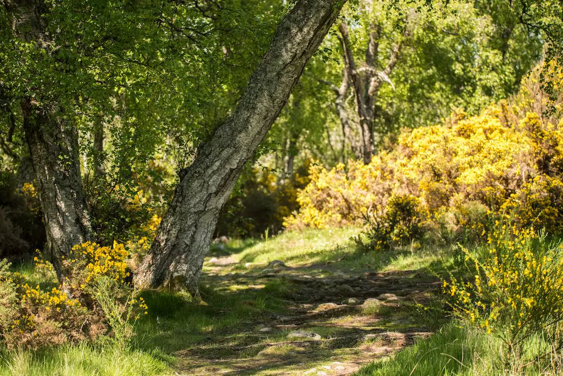 Outdoor therapy 667bfb5786260